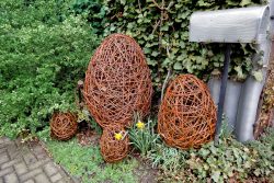 Eier aus Weide